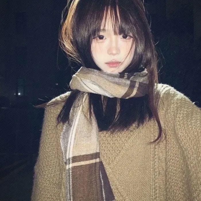 蝙蝠侠:侠影之谜